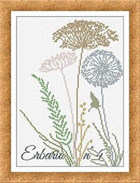 Erbario #4 (Herbarium #4)