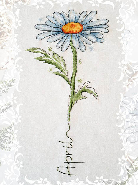 Birth Month Flowers: April Daisy