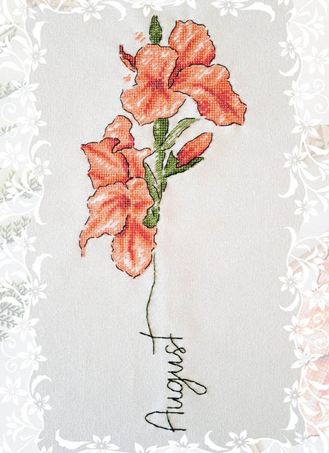 Birth Month Flowers: August Gladiolus