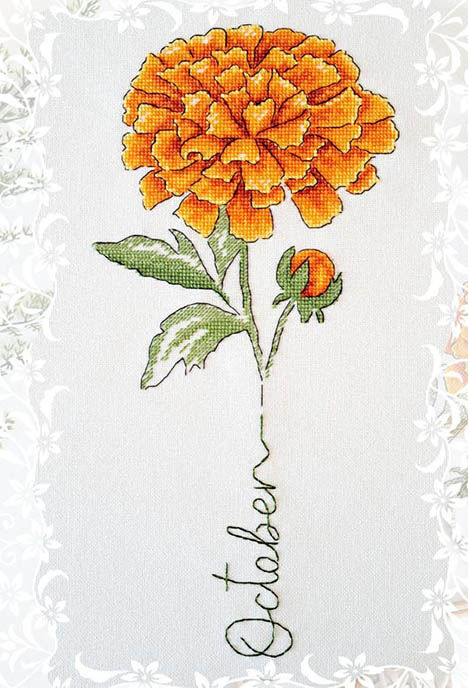 Birth Month Flowers: October Marigold