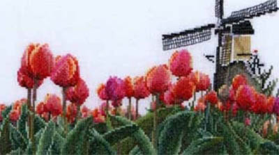 Tulip Field Kit