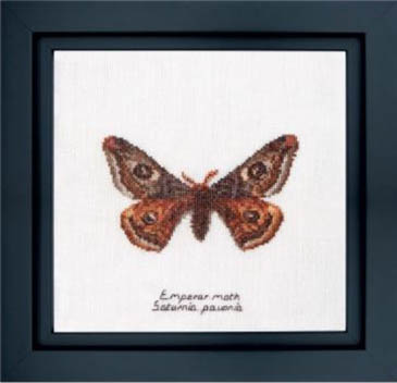 Emperor Moth Kit