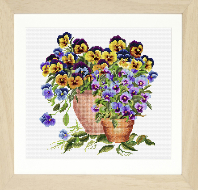 Potted Pansies Kit