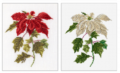 Poinsettia Kit