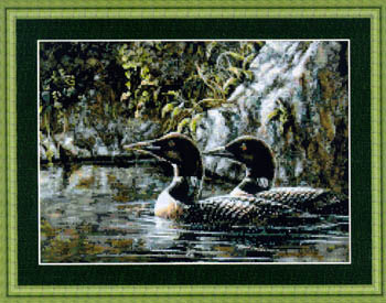 Loon Serenade