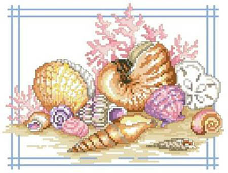 Seashells