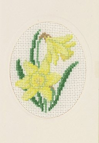 Daffodil Card Kit