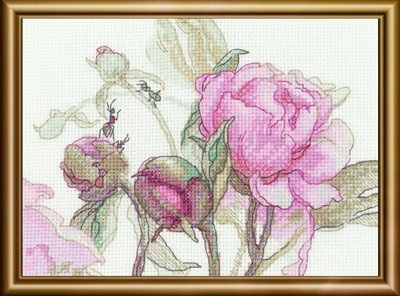 Peonies - Delight Kit