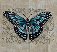  Blue Butterfly