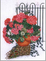 Pot Hydrangea with Fence Kit