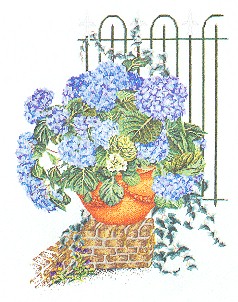 Blue Hydrangea with Fence Kit