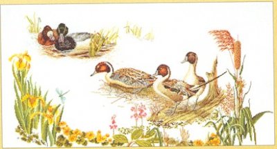 Ducks In The Marsh Kit