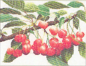 Branch of Cherries Kit