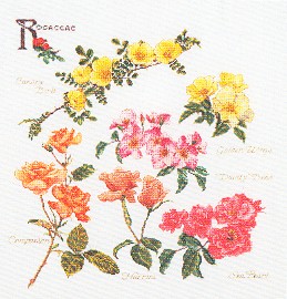 Rose Branches Kit