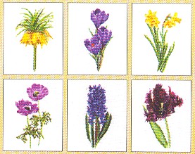 Six Floral Studies Kit