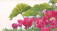 Tulips Garden Detail Kit