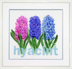 Hyacinth Kit