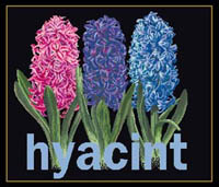 Hyacinth Kit