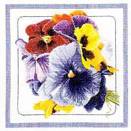 Pansies Kit