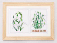 Snowdrops Kit