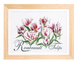 Rembrandt Tulips Kit