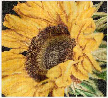 Sunflower Kit