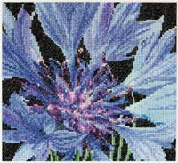 Cornflower Kit