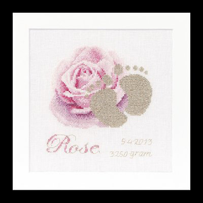 Birth Sampler Rose Kit