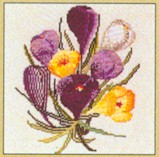 Crocus Bouquet Kit