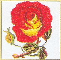 Single Red Rose Kit