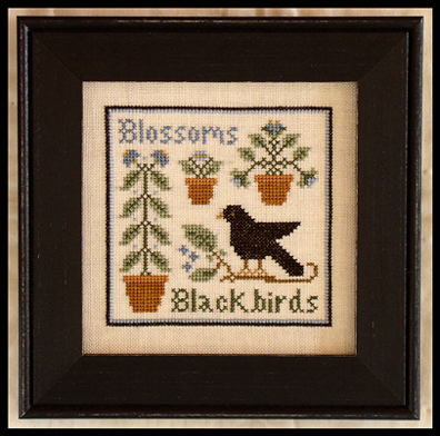 Blossoms & Blackbirds