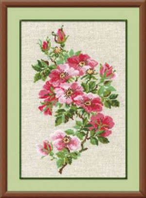 May Wild Rose Kit